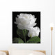 White Rose Wall Mural