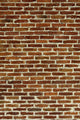 Brick Wall Wall Mural