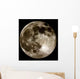 Moon Wall Decal