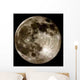 Moon Wall Decal
