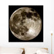Moon Wall Decal