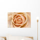 Rose Wall Mural