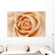 Rose Wall Mural