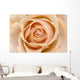 Rose Wall Mural