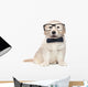 Smart Elegant Golden Retriever Puppies Wall Decal