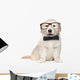 Smart Elegant Golden Retriever Puppies Wall Decal