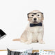 Smart Elegant Golden Retriever Puppies Wall Decal