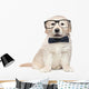 Smart Elegant Golden Retriever Puppies Wall Decal
