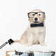 Smart Elegant Golden Retriever Puppies Wall Decal