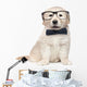 Smart Elegant Golden Retriever Puppies Wall Decal