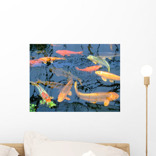 Koi Wall Mural