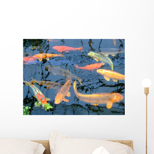 Koi Wall Mural