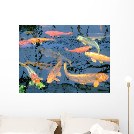 Koi Wall Mural