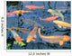 Koi Wall Mural