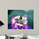 Passiflora Cearulea Wall Mural
