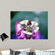 Passiflora Cearulea Wall Mural