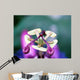 Passiflora Cearulea Wall Mural