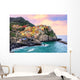 Colorful houses on a rock in Manarola, Cinque Terre, Italy Wall Mural