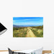 Camino 164 Wall Decal