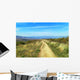 Camino 164 Wall Decal