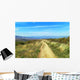 Camino 164 Wall Decal