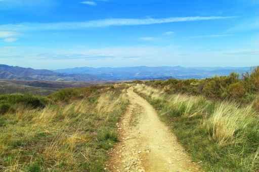 Camino 164 Wall Decal