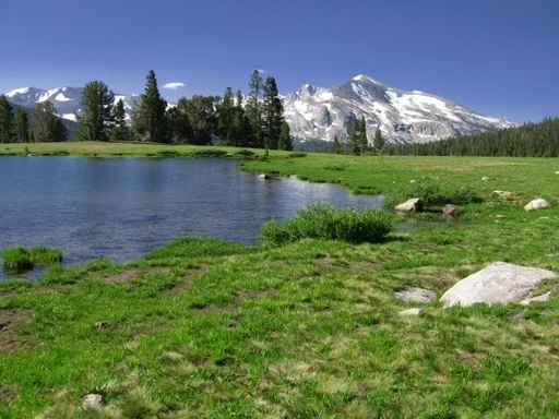 Grand Teton Np Wall Decal Design 1