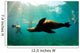 Sea lions swimming around snorkelers in the Galapagos Islands Wall Mural