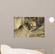 Cheetah Wall Mural