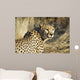 Cheetah Wall Mural