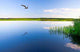 Beautiful Summer Water Landscape Wall Decal
