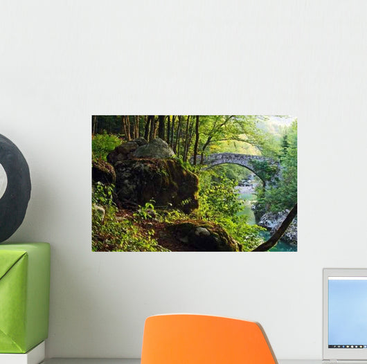 Old Bridge over River Wall Decal