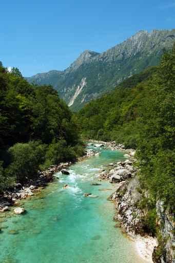 River Stream Wall Decal