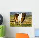 Welsh Cob Wall Mural
