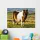 Welsh Cob Wall Mural