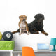 stafforshire bull terrier and rottweiler Wall Decal