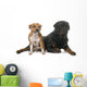 stafforshire bull terrier and rottweiler Wall Decal