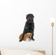 stafforshire bull terrier and rottweiler Wall Decal