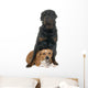 stafforshire bull terrier and rottweiler Wall Decal