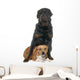 stafforshire bull terrier and rottweiler Wall Decal