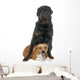 stafforshire bull terrier and rottweiler Wall Decal