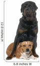 stafforshire bull terrier and rottweiler Wall Decal