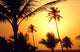 Sunset Goa 1 Wall Decal