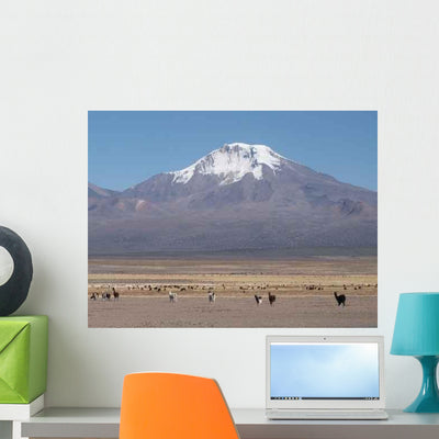 Konica Minolta Digital Camera Wall Decal Design 7 shown on a wall