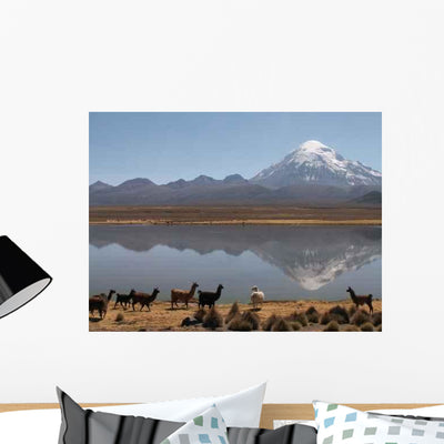 Konica Minolta Digital Camera Wall Decal Design 6 shown on a wall