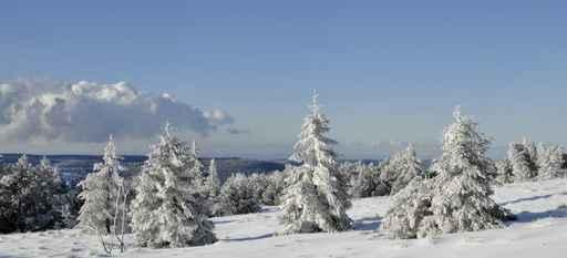 Snowy Landscape Wall Decal