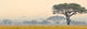 Beautiful scene of Serengeti National park Wall Mural