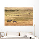 Wild zebras on pasture of Serengeti National park Wall Mural