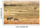 Wild zebras on pasture of Serengeti National park Wall Mural