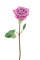 Purple Rose Wall Decal